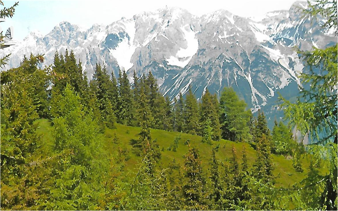 PLANAI Historisches von Graupp Essays im AustriaForum